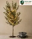 Frolight_Garden_product_cut.webp